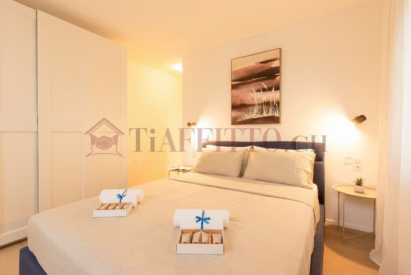 SPLENDIDO DUPLEX CON GIARDINO NEL CUORE DI LUGANO (1)