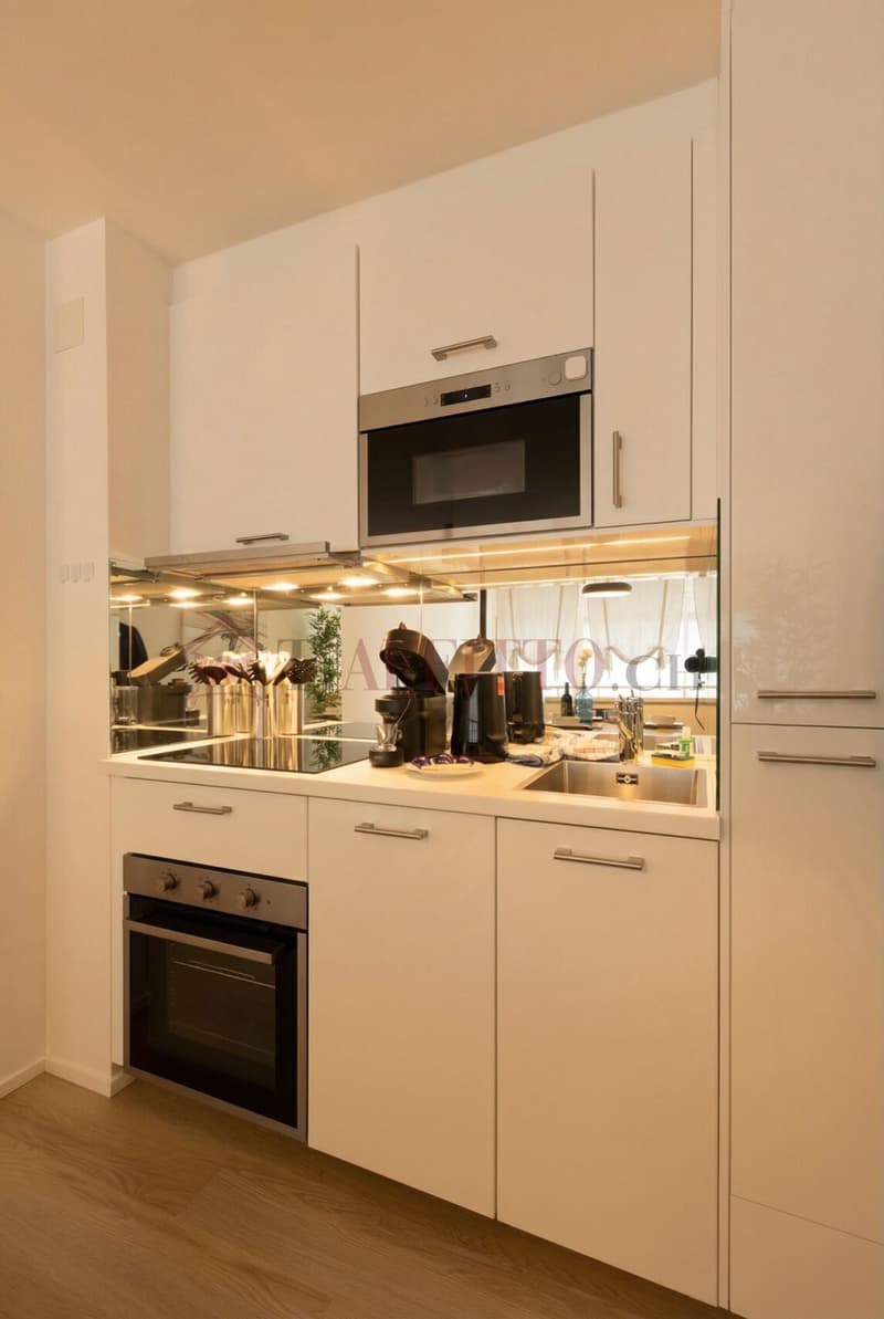 SPLENDIDO DUPLEX CON GIARDINO NEL CUORE DI LUGANO (7)
