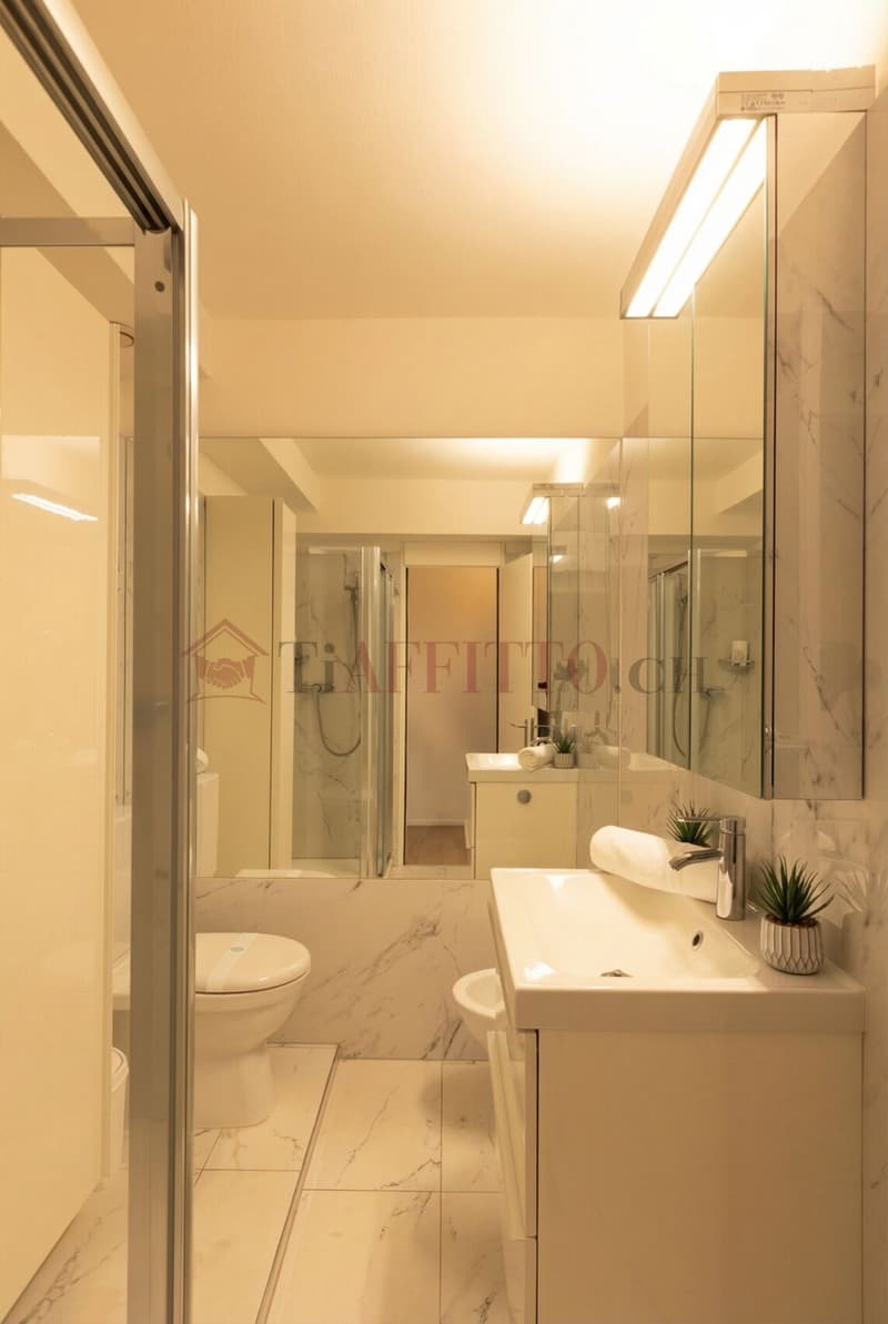 SPLENDIDO DUPLEX CON GIARDINO NEL CUORE DI LUGANO (8)