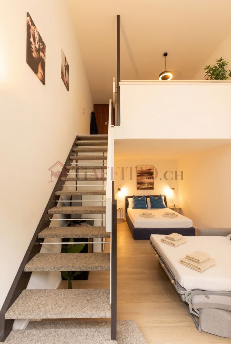 SPLENDIDO DUPLEX CON GIARDINO NEL CUORE DI LUGANO (2)
