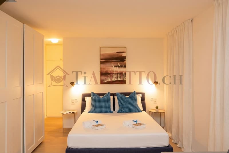 SPLENDIDO DUPLEX CON GIARDINO NEL CUORE DI LUGANO (6)