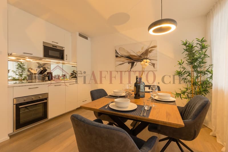 SPLENDIDO DUPLEX CON GIARDINO NEL CUORE DI LUGANO (4)