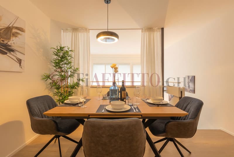 SPLENDIDO DUPLEX CON GIARDINO NEL CUORE DI LUGANO (5)