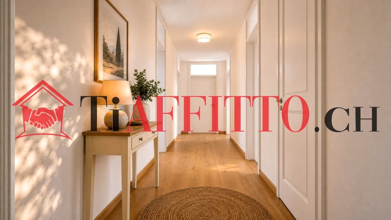 3.5 COMPLETAMENTE RISTRUTTURATO A LUGANO/MASSAGNO (3)