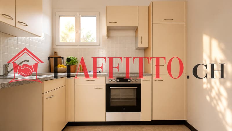 3.5 COMPLETAMENTE RISTRUTTURATO A LUGANO/MASSAGNO (2)