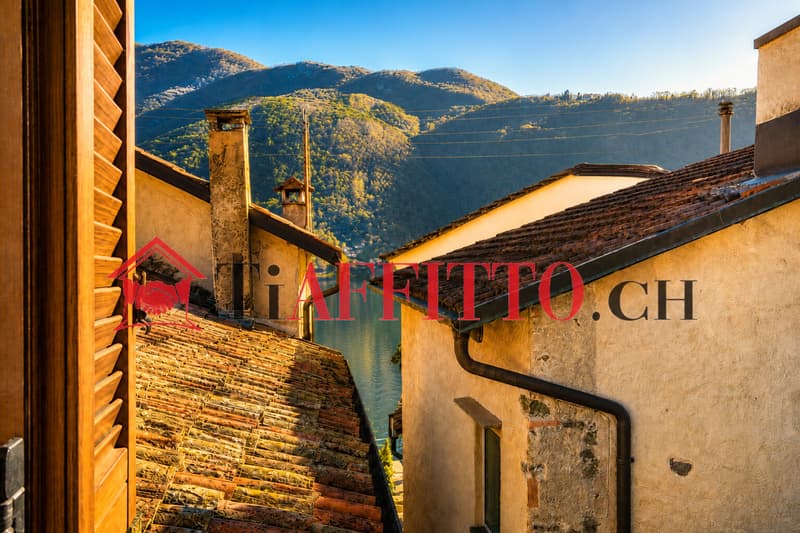 3.5 DI CHARME ARREDATO A MORCOTE (1)