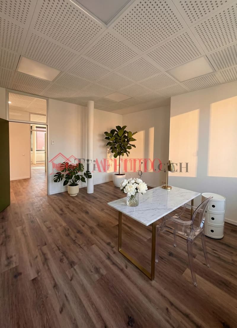 UFFICIO DI PRESTIGIO COMPLETAMENTE RISTRUTTURATO (5)