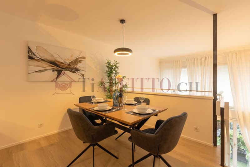 SPLENDIDO DUPLEX CON GIARDINO NEL CUORE DI LUGANO (1)
