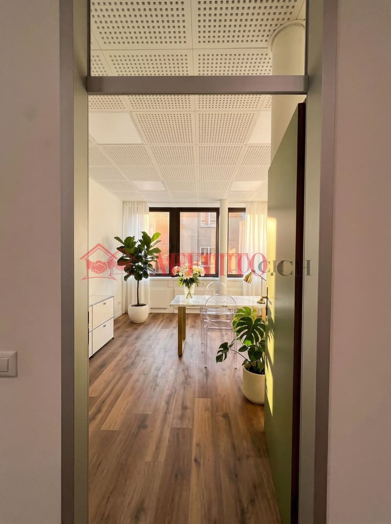 UFFICIO DI PRESTIGIO COMPLETAMENTE RISTRUTTURATO (5)