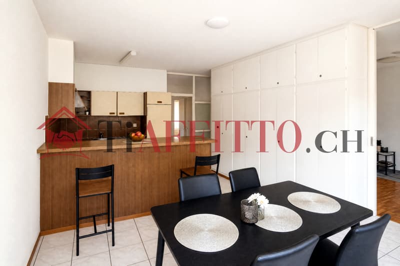3.5 LOCALI ARREDATO A BELLINZONA NORD (7)