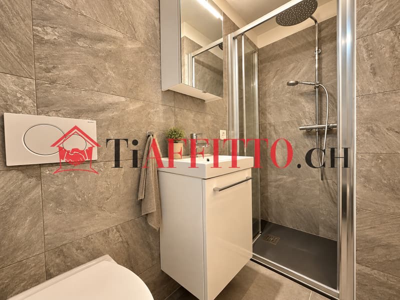 ROMANTICO 3.5 DUPLEX A MEZZOVICO (6)