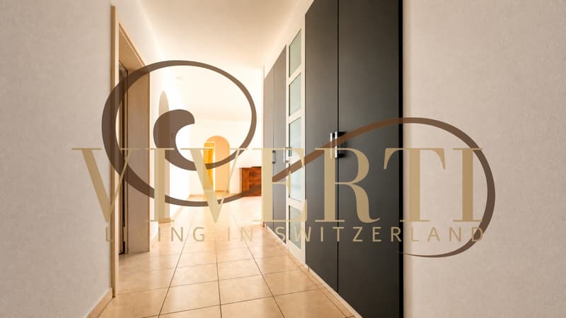 4.5 LOCALI A MENO DI 6000 CHF AL MQ, LUGANO/MASSAGNO 140 MQ (7)
