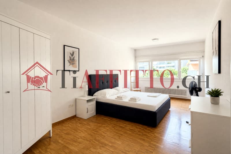 3.5 LOCALI ARREDATO A BELLINZONA NORD (2)
