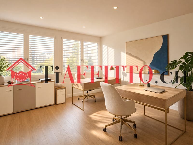 GRANDE UFFICIO A LUGANO/VIGANELLO (4)