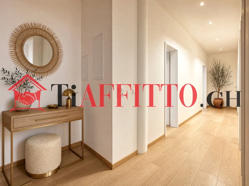 GRANDE UFFICIO A LUGANO/VIGANELLO (1)
