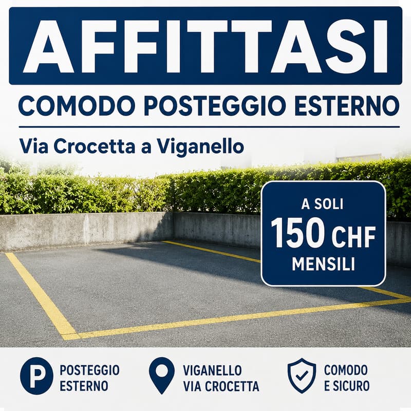 COMODO POSTEGGIO ESTERNO VIGANELLO (1)