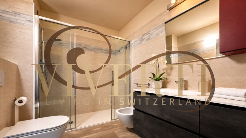 4.5 LOCALI A 5â000 CHF AL MQ, LUGANO/MASSAGNO 140 MQ (9)