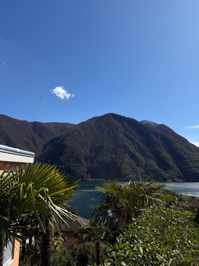 Elegant semi-detached house in Castagnola, Lugano (1)