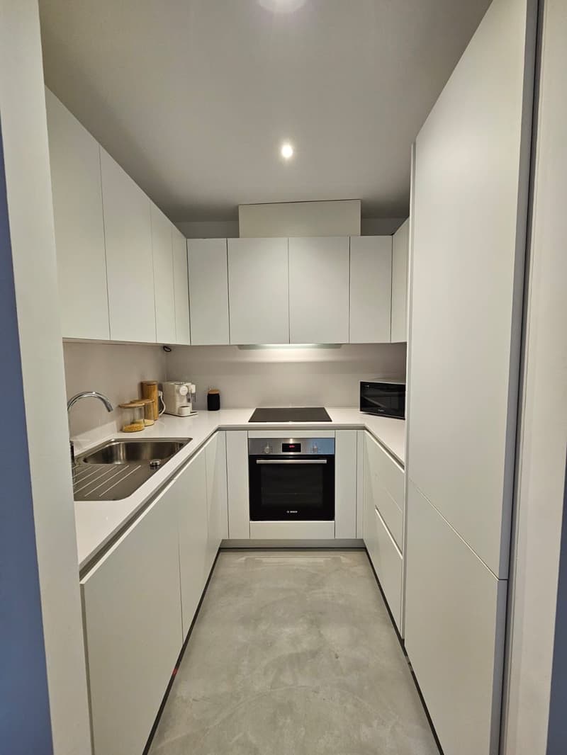 Appartamento 2.5 locali vista lago (14)