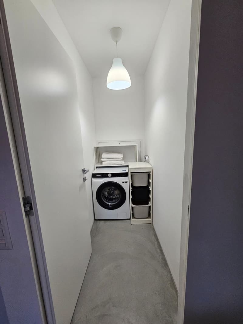 Appartamento 2.5 locali vista lago (20)