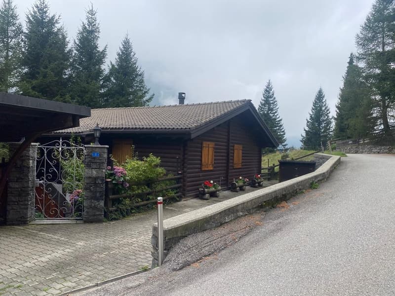 Chalet immersed in nature in Mesocco (4)