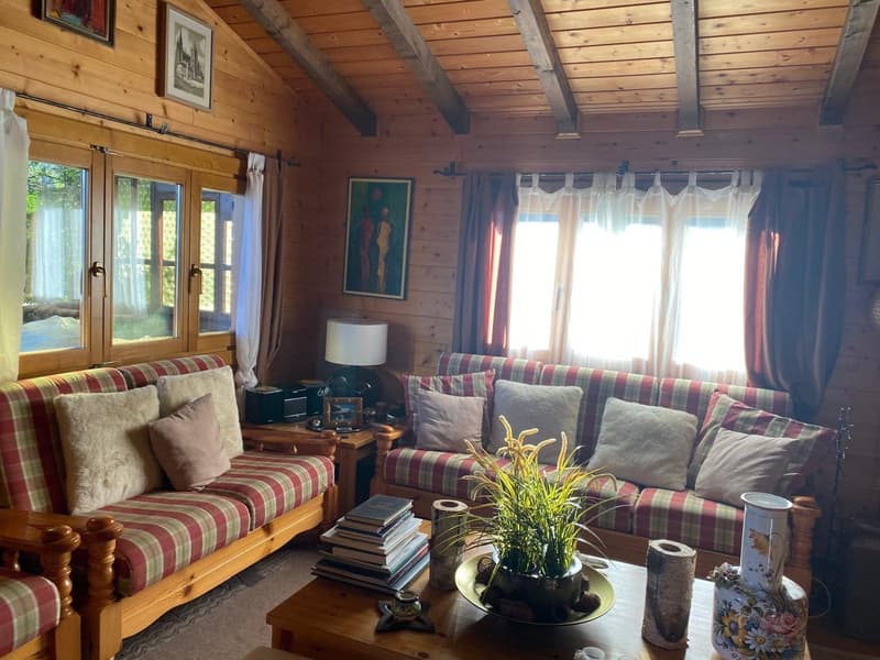 Chalet immersed in nature in Mesocco (8)