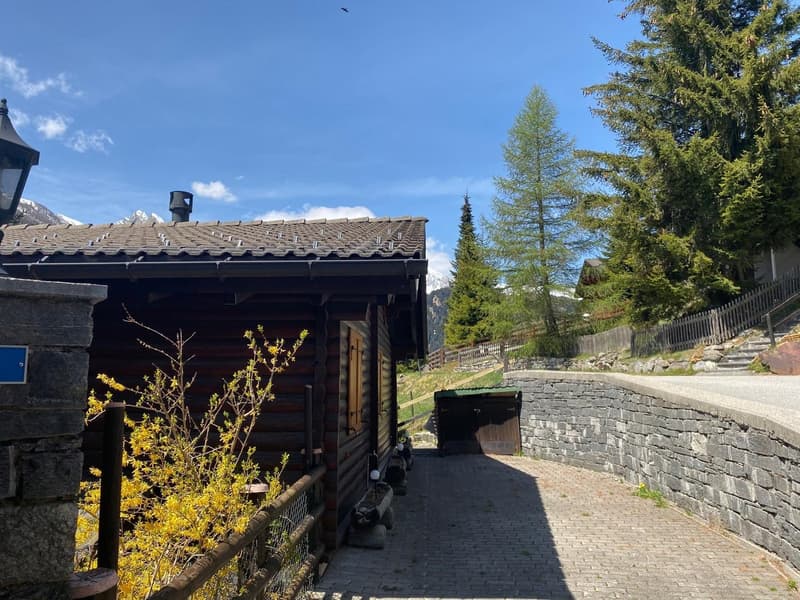 Chalet immersed in nature in Mesocco (5)