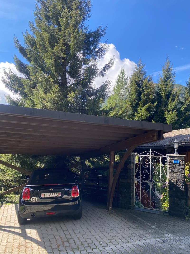 Chalet immerso nella natura a Mesocco (10)