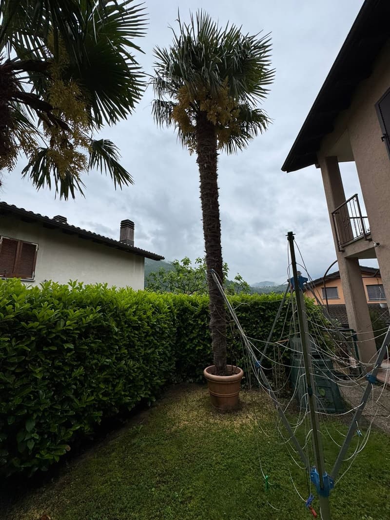 Villa indipendente 5.5 locali (3)