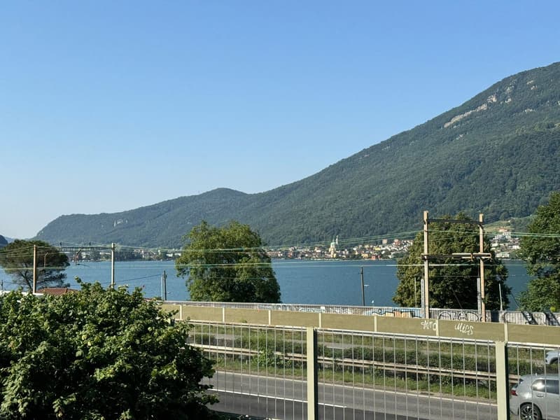 Elegante appartamento duplex di 3.5 locali a Melano (1)
