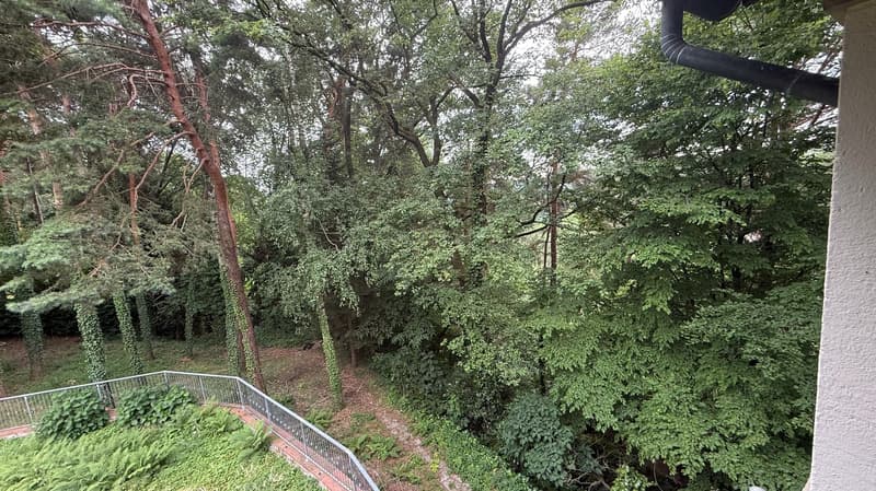 Prestigiosa villa di lusso con piscina a Venegono Inferiore (19)