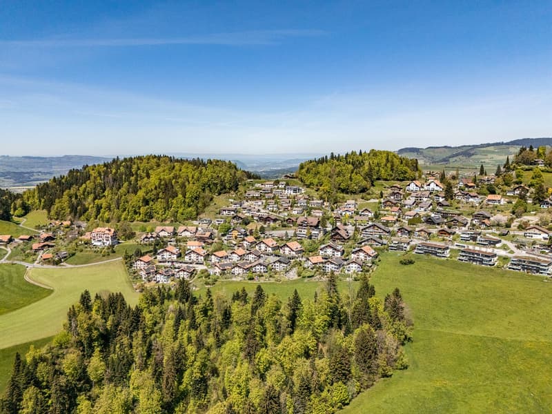 Tra città e campagna sul pendio soleggiato (3)