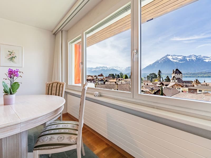 Feriengefühl inklusive – Zweitwohnsitz am Thunersee (1)