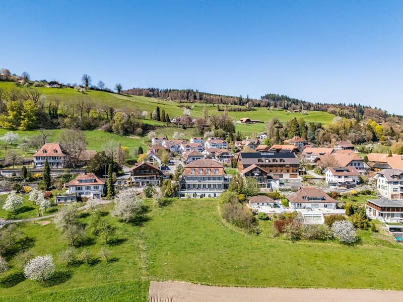 Vivere da re: villa di campagna con area edificabile (2)