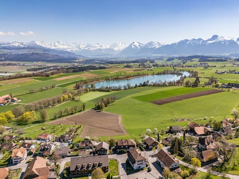 Vivere da re: villa di campagna con area edificabile (3)