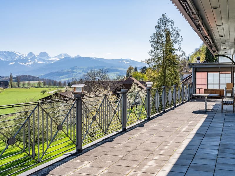 Vivere da re: villa di campagna con area edificabile (5)