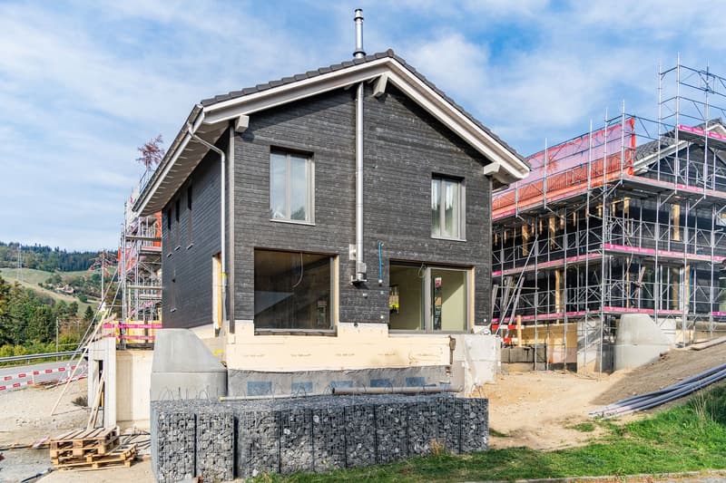 Neubau mit Herz fürs Landleben (6)