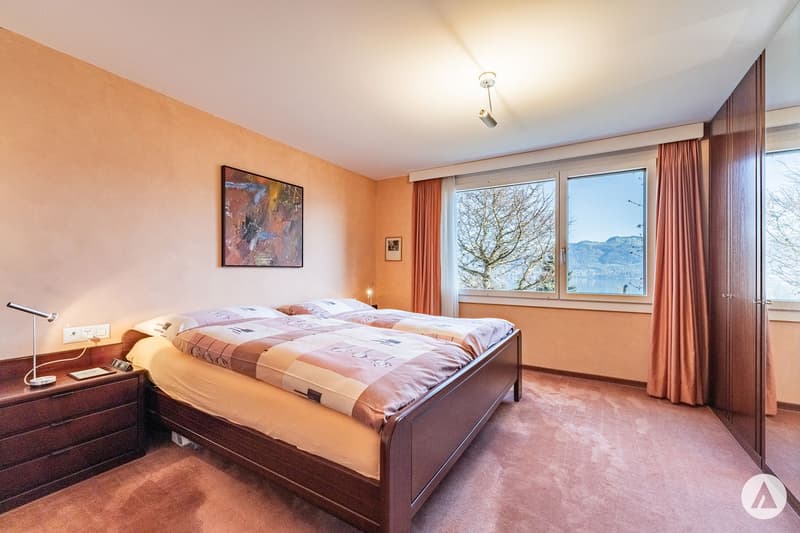 A loge seat above Lake Thun (10)