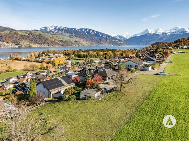 Ein Logenplatz über dem Thunersee (4)
