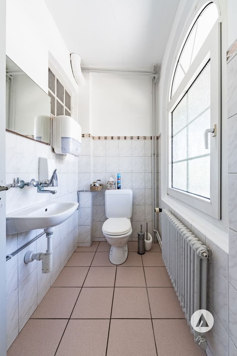 Ein aussergewöhnliches Traditionshaus (10)