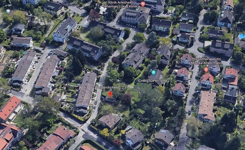 The perfect garden apartment in the best village in Switzerland (4)