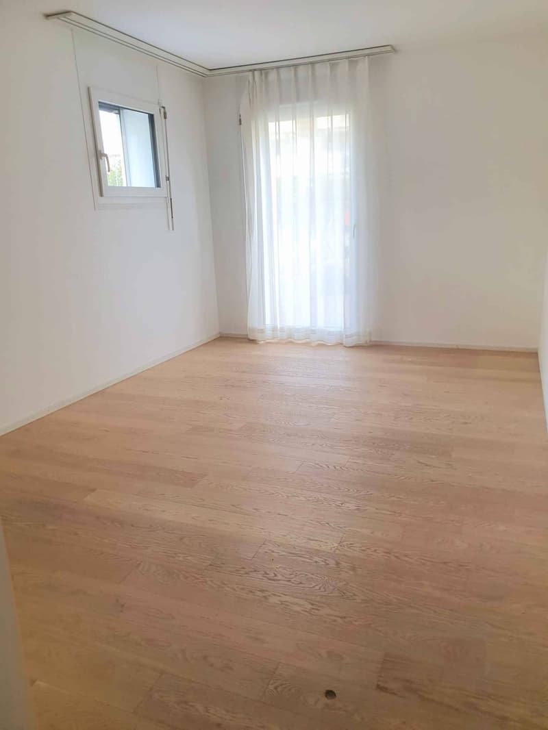 4.5 room apartment on the ground floor (5)