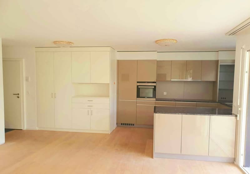 4.5 room apartment on the ground floor (2)