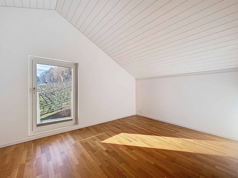 Contemporary villa with panoramic view of the lake (8)