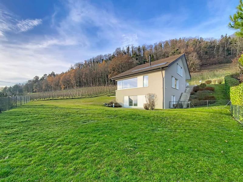 Contemporary villa with panoramic view of the lake (12)