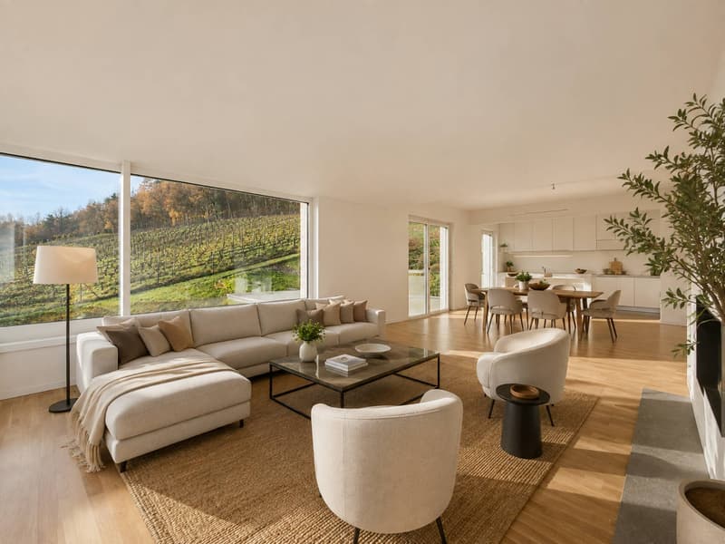 Villa contemporaine avec vue panoramique sur le lac (2)