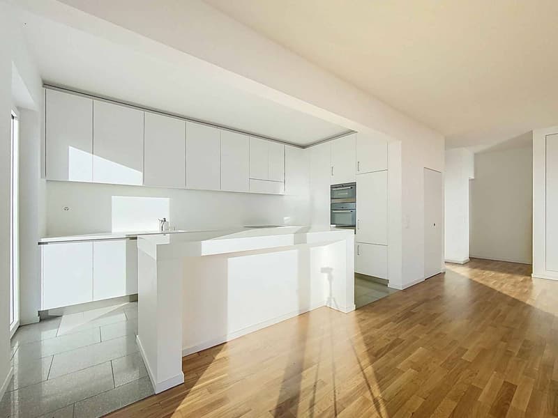 Contemporary villa with panoramic view of the lake (3)
