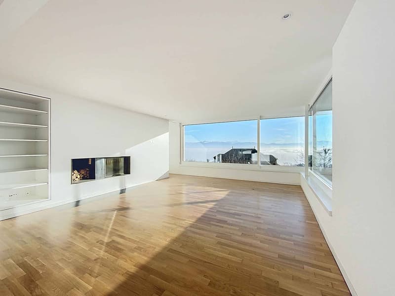 Contemporary villa with panoramic view of the lake (2)