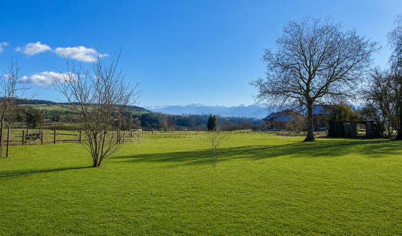 Ravissante maison familiale avec grand jardin et vue (11)