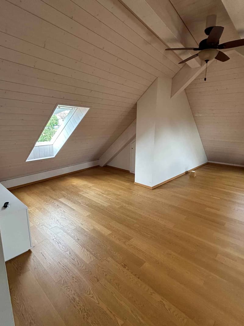 Magnifique appartement duplex de 5.5 pièces en attique (4)
